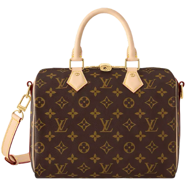 lv-brown-bag